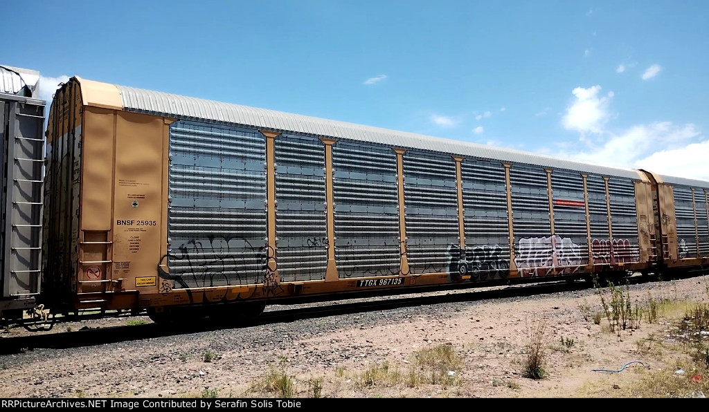 BNSF 25935 TTGX 967135